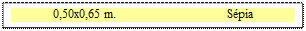 Zone de Texte: 0,50x0,65 m. 	 S�pia

