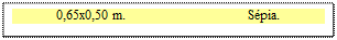 Zone de Texte: 0,65x0,50 m. 	 Spia.

