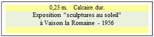 Zone de Texte: 0,23 m.    Calcaire dur.
Exposition "sculptures au soleil" 
 Vaison la Romaine - 1956

