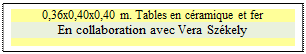 Zone de Texte: 0,36x0,40x0,40 m. Tables en cramique et fer
En collaboration avec Vera Szkely

