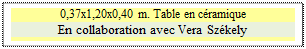 Zone de Texte: 0,37x1,20x0,40 m. Table en cramique
En collaboration avec Vera Szkely

