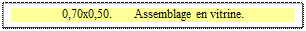 Zone de Texte: 0,70x0,50.       Assemblage en vitrine.

