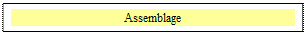 Zone de Texte: Assemblage