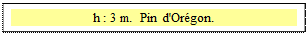 Zone de Texte: h : 3 m.  Pin d'Orégon.