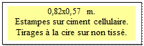 Zone de Texte: 0,82x0,57 m.  
Estampes sur ciment cellulaire.
Tirages � la cire sur non tiss�.
