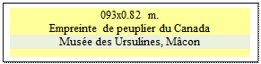 Zone de Texte: 093x0.82 m.
Empreinte de peuplier du Canada
Mus�e des Ursulines, M�con

