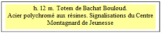 Zone de Texte: h. 12 m. Totem de Bachat Bouloud.  
Acier polychrom� aux r�sines. Signalisations du Centre Montagnard de Jeunesse


