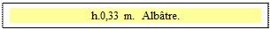 Zone de Texte: h.0,33 m.  Alb�tre.