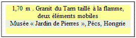 Zone de Texte: 1,70 m . Granit du Tarn taill  la flamme, 
deux lments mobiles
Muse  Jardin de Pierres , Pcs, Hongrie

