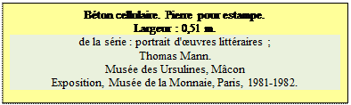 Zone de Texte: Bton cellulaire. Pierre pour estampe.
Largeur : 0,51 m. 
de la srie : portrait d'uvres littraires ; 
Thomas Mann.
Muse des Ursulines, Mcon
Exposition, Muse de la Monnaie, Paris, 1981-1982.


