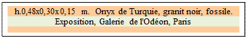 Zone de Texte: h.0,48x0,30x0,15 m.  Onyx de Turquie, granit noir, fossile. 
Exposition, Galerie de l'Od�on, Paris

