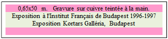 Zone de Texte: 0,65x50 m.   Gravure sur cuivre teinte  la main.
Exposition  l'Institut Franais de Budapest 1996-1997
Exposition Kortars Gallria, Budapest

