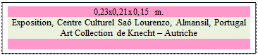 Zone de Texte: 0,23x0,21x0,15 m.
Exposition, Centre Culturel Sa Lourenzo, Almansil, Portugal
Art Collection de Knecht  Autriche

