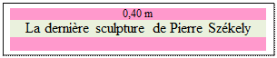 Zone de Texte: 0,40 m
La derni�re sculpture de Pierre Sz�kely

